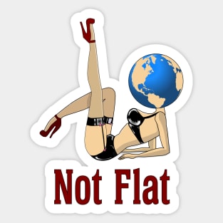 Earth Is Not Flat Sticker